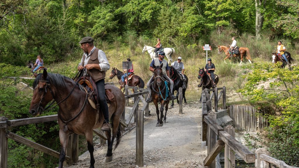 Foto raffigurante diverse persone a cavallo nella tradizionale cavalcata di Satriano. Le persone stanno per attraversare un piccolo ponte ed in secondo piano è presente un cartello che indica i percorsi e dietro a questo della vegetazione del bosco molto verde.